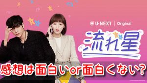流れ星 感想 評価 面白い つまらない 酷評