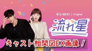 流れ星 キャスト 相関図 EX画像 カメオ 特別出演 紹介