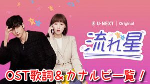 流れ星 OST 主題歌 挿入歌 歌詞 和訳 アルバム 曲名 一覧