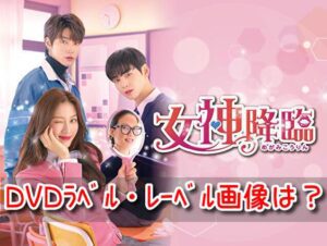 女神降臨　DVD ラベル　レーベル　画像　BOX　発売日　購入特典