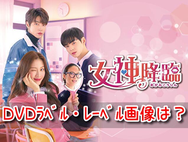 女神降臨 DVD ラベル レーベル 画像 BOX 発売日 購入特典