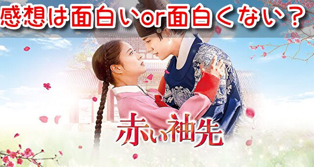 赤い袖先 感想 面白い 面白くない 辛口評価