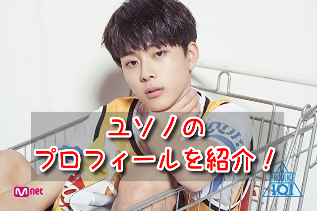 ユソノ プデュ 現在 活動 年齢 プロフィール 詳しく