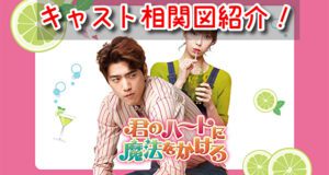 君のハートに魔法をかけろ　相関図　キャスト　EX　一覧　カメオ　登場人物