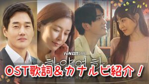 花様年華　OST　和訳　歌詞　カナルビ　一覧　主題歌　挿入歌