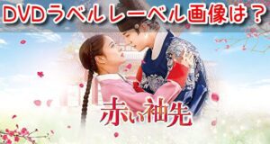 赤い袖先　DVD　ラベル　レーベル画像　メイキング　BOX発売日　購入特典