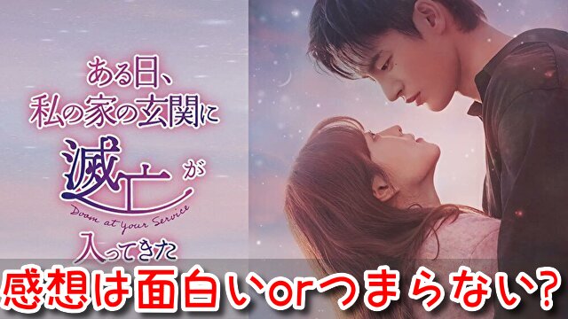 ある日私の玄関に　感想　評価　面白い　つまらない　酷評　口コミ