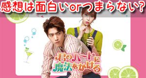 君のハートに魔法をかけろ　感想　面白い　つまらない　評価　評判