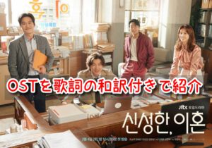 シンソンハン OST 主題歌 挿入歌 歌詞 和訳 意味