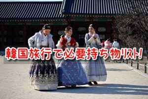 韓国旅行 必要 持ち物 女子 リスト 変圧器 変換プラグ 書類
