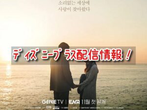 愛していると言ってくれ 韓国 配信 いつから ディズニープラス 配信時間 更新 話数