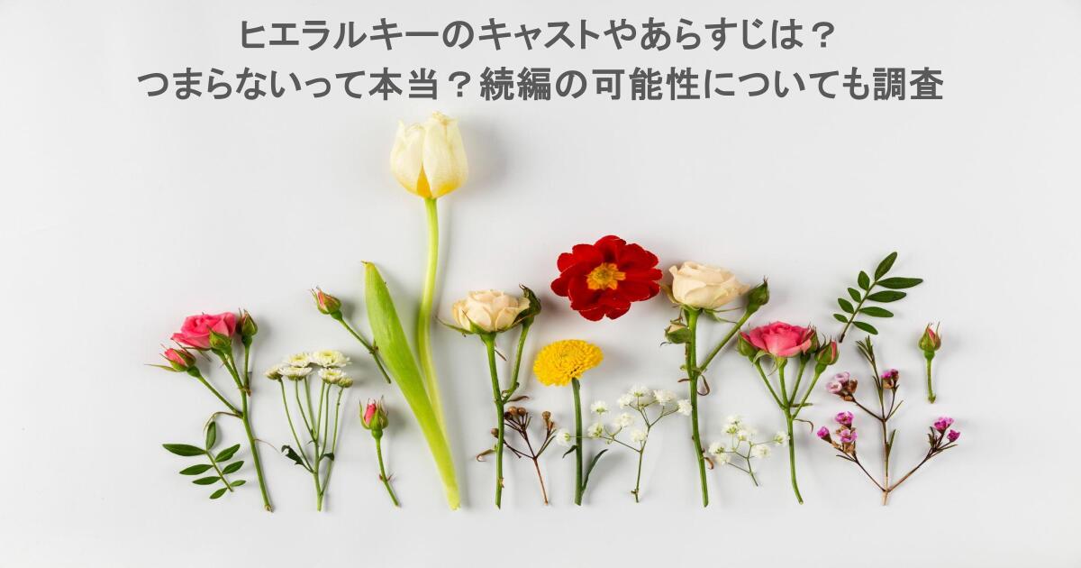 ヒエラルキーのキャストやあらすじは?つまらないって本当?続編の可能性についても調査