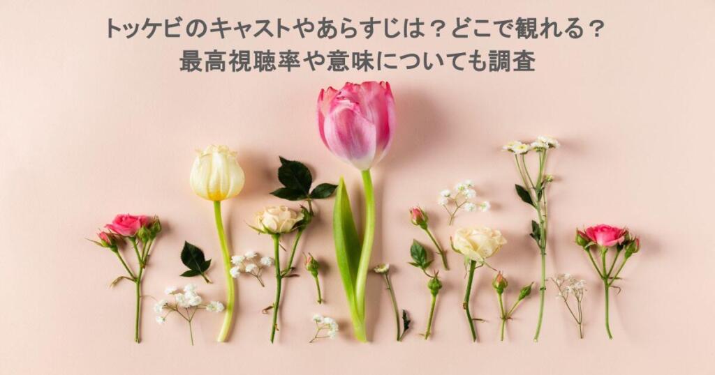 トッケビのキャストやあらすじは?どこで観れる?最高視聴率や意味についても調査