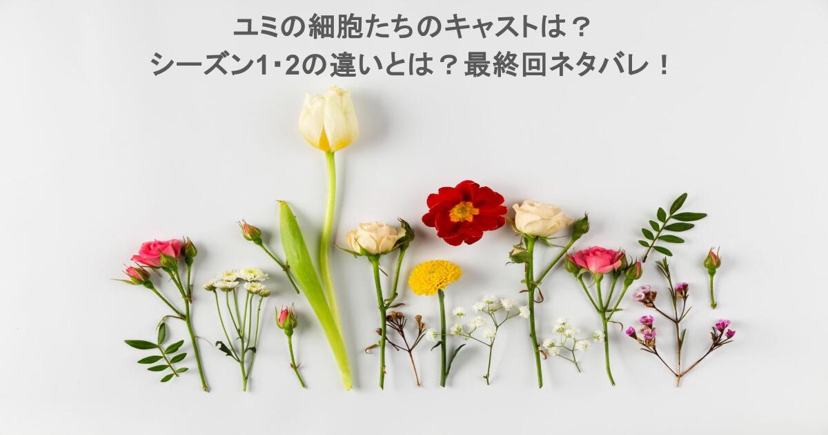 ユミの細胞たちのキャストは?シーズン1・2の違いとは?最終回ネタバレ!