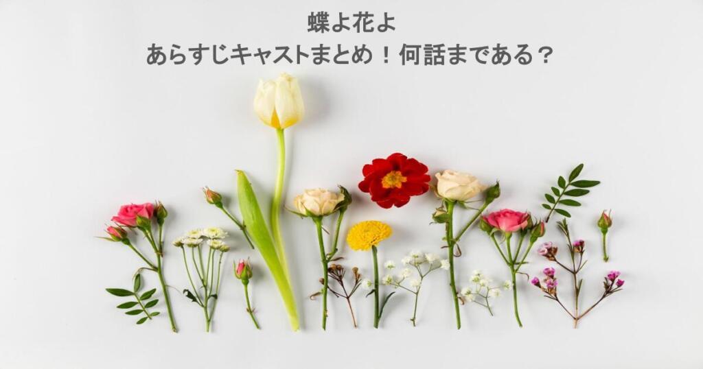 【韓国ドラマ】蝶よ花よのあらすじキャストまとめ!何話まである?