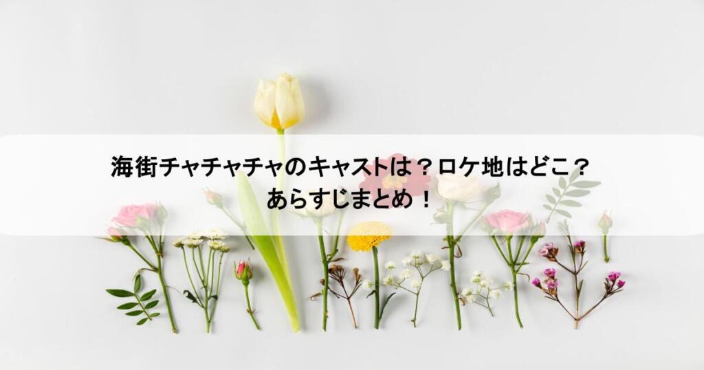 海街チャチャチャのキャストは?ロケ地はどこ?あらすじまとめ!