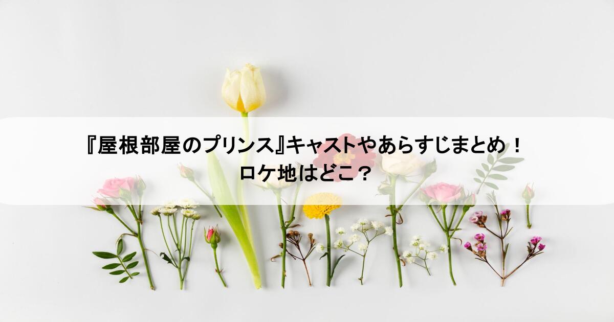 『屋根部屋のプリンス』キャストやあらすじまとめ!ロケ地はどこ?