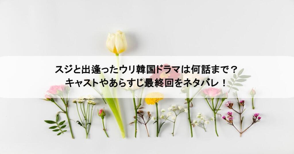 スジと出逢ったウリ韓国ドラマは何話まで?キャストやあらすじ最終回をネタバレ!