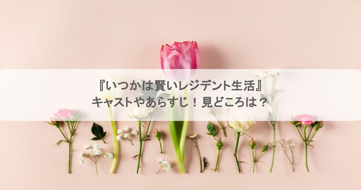 『いつかは賢いレジデント生活』キャストやあらすじ！見どころは？