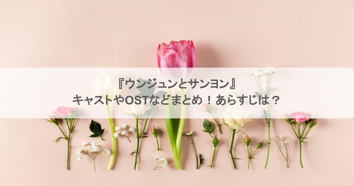 『ウンジュンとサンヨン』キャストやOSTなどまとめ！あらすじは？