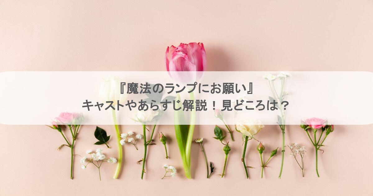 『魔法のランプにお願い』キャストやあらすじ解説！見どころは？
