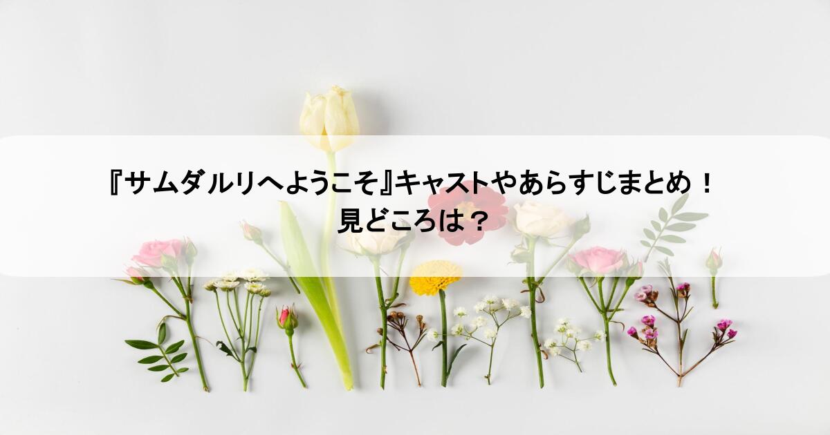 『サムダルリへようこそ』キャストやあらすじまとめ！見どころは？