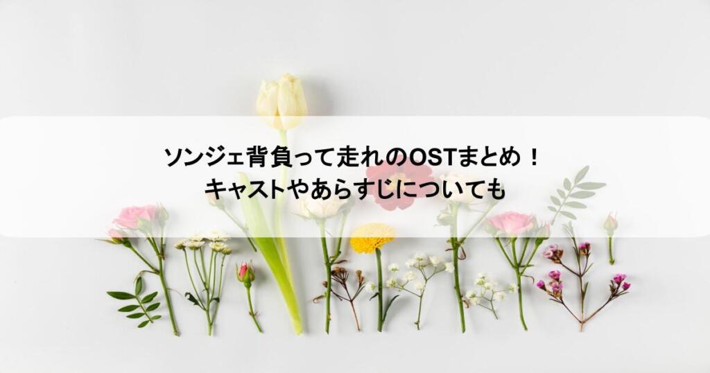 ソンジェ背負って走れのOSTまとめ!キャストやあらすじについても