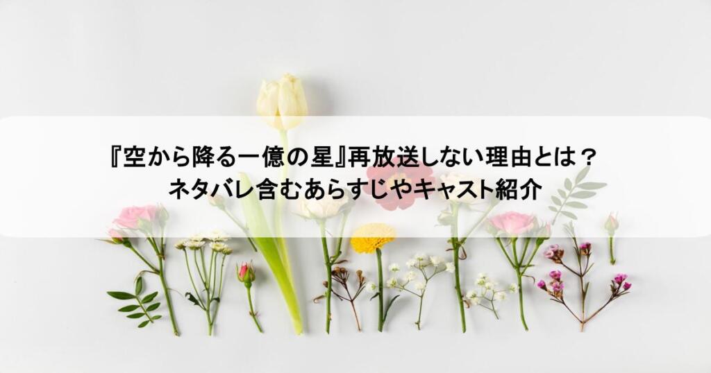『空から降る一億の星』再放送しない理由とは?ネタバレ含むあらすじやキャスト紹介
